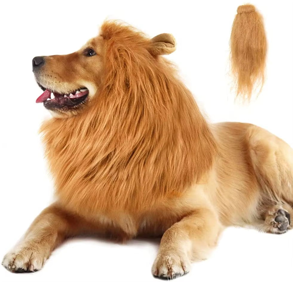 Cute Pet Dog Cosplay Clothes Costume Lion Mane Winter Warm Pet for Large Dogs Party Decoration with Ear Pet Accessories