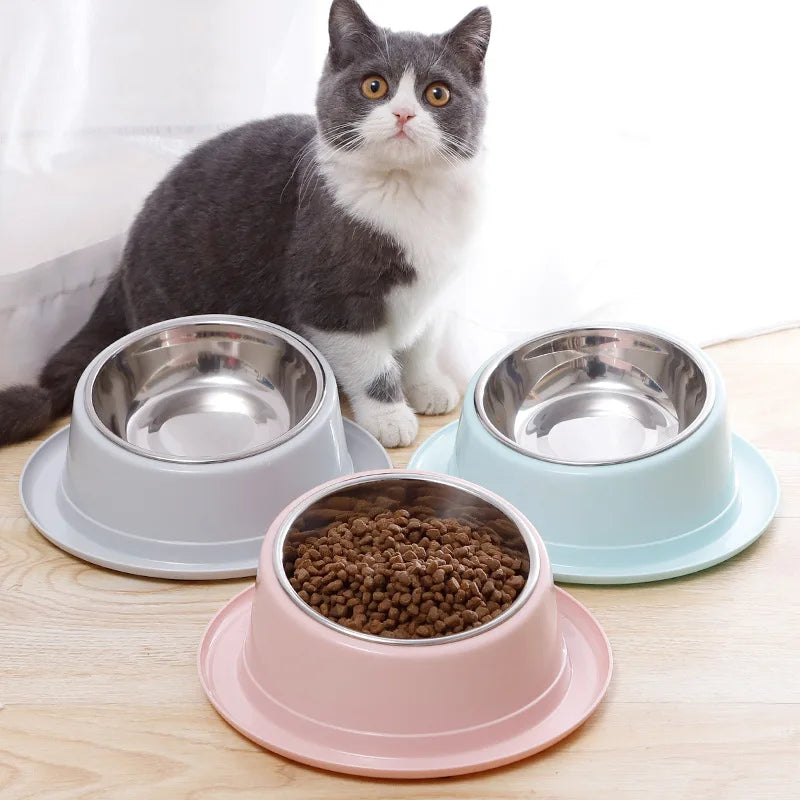 Cat Feeder Slope Anti-Ant Food Bowl for Cat Pet Accessories Dog Bowl Quality Stainless Steel Container for Cats Pet Supplies