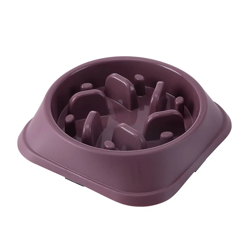 Healthy Pet Slow Bowl