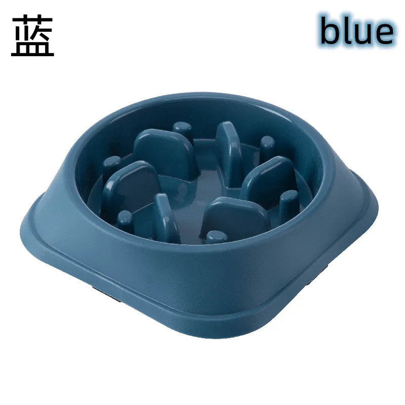 Healthy Pet Slow Bowl