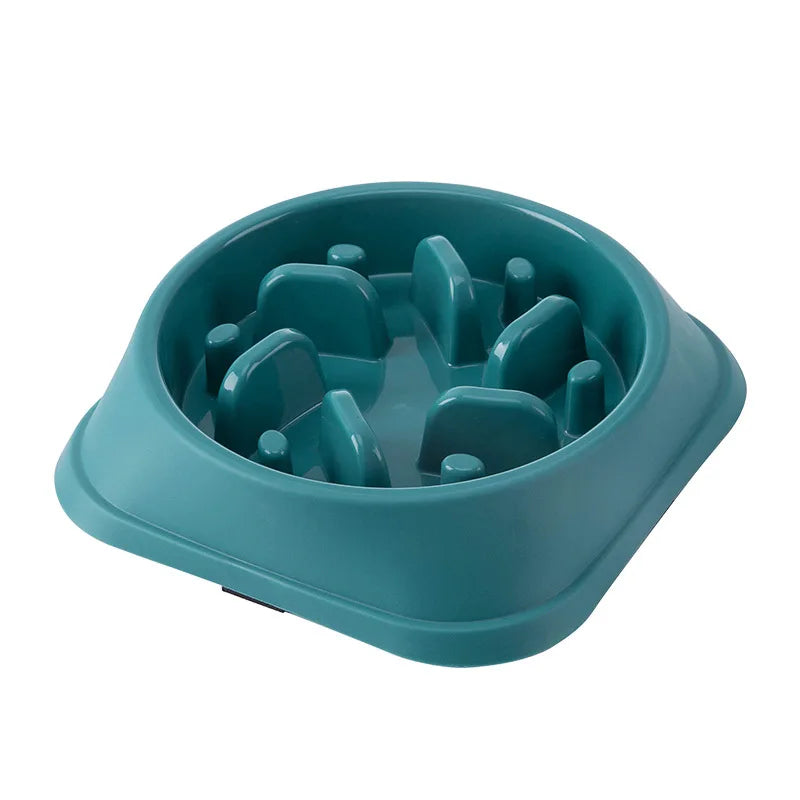 Healthy Pet Slow Bowl