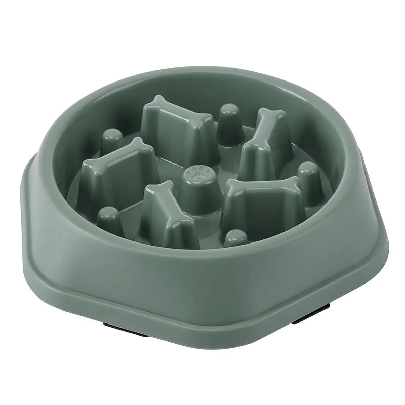 Healthy Pet Slow Bowl