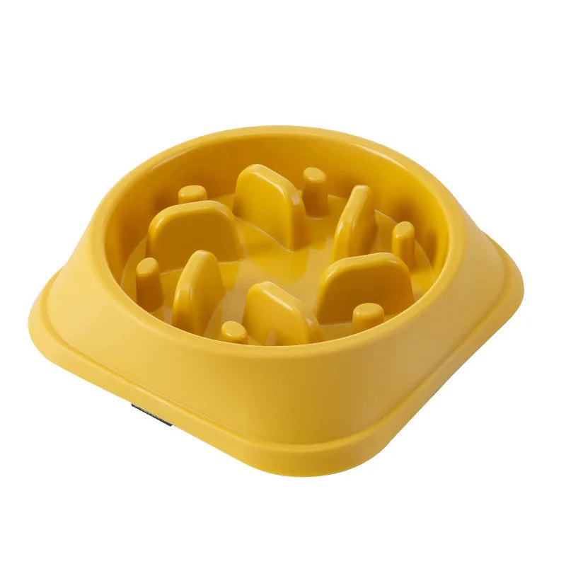 Healthy Pet Slow Bowl