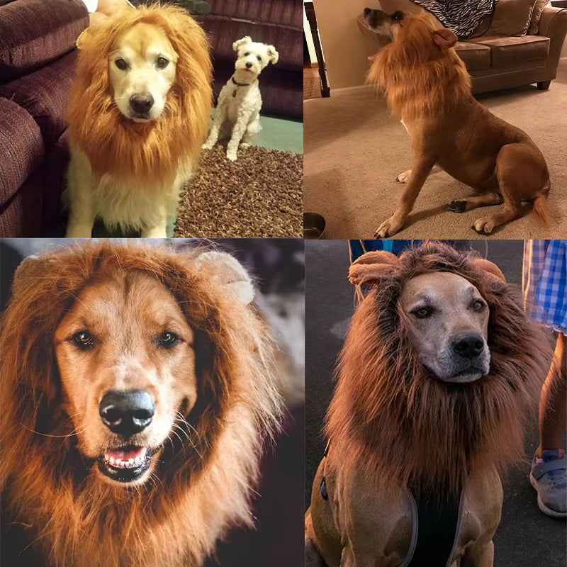 Cute Pet Dog Cosplay Clothes Costume Lion Mane Winter Warm Pet for Large Dogs Party Decoration with Ear Pet Accessories