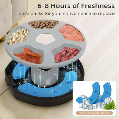 Dog Food Dispenser with Programmable Timer
