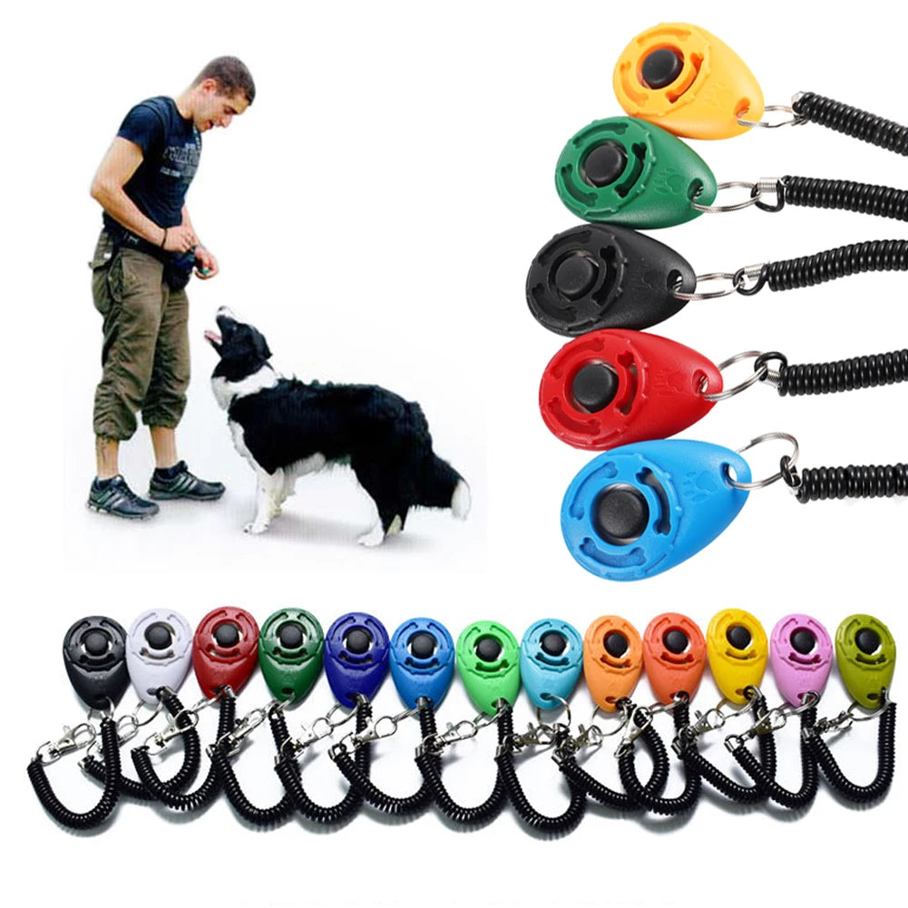 Adjustable Wrist Strap Sound Key Chain