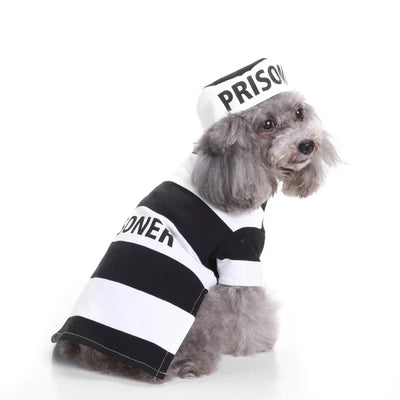 E-Commerce Pet Clothes Christmas Old Man Dog Clothes Halloween Pet Clothes Pumpkin Pet Costume Wizard Clothes