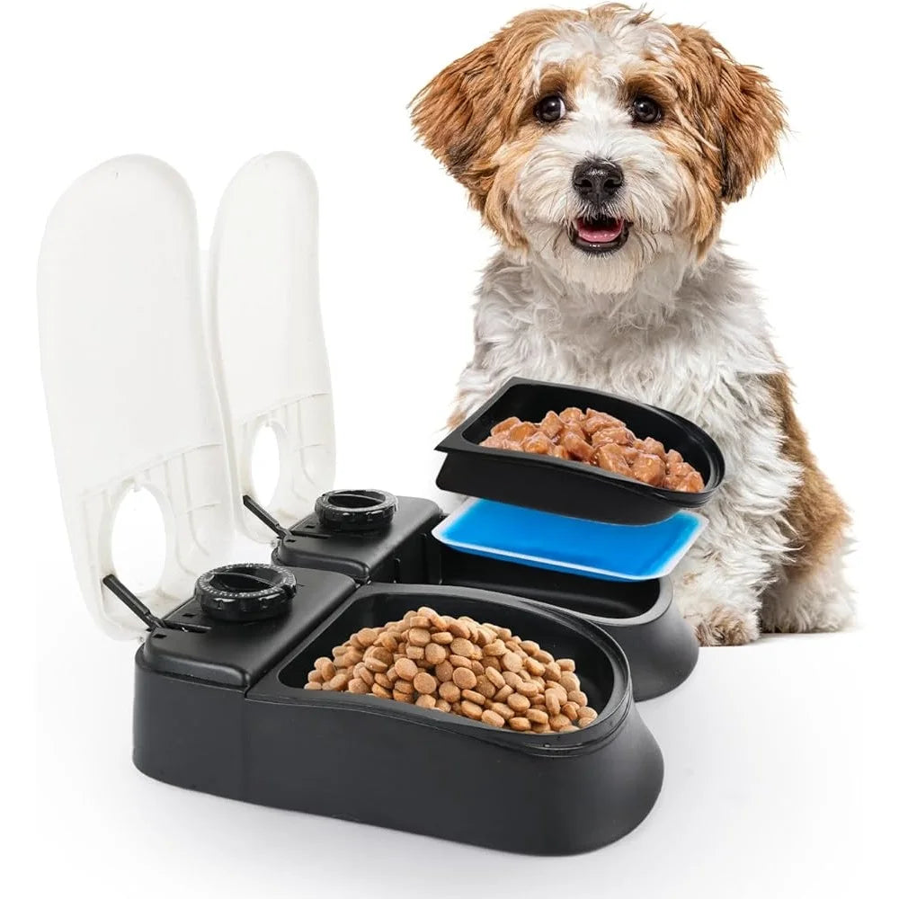 Automatic pet Feeder 2 Meal Food Dispenser