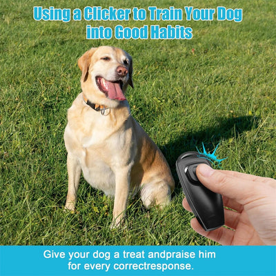 Pet Whistle Key Ring And Wrist Strap