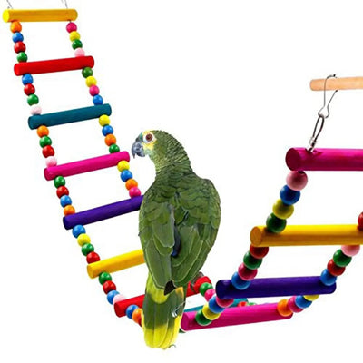 Bird Toys Set Swing Chewing Training Toys