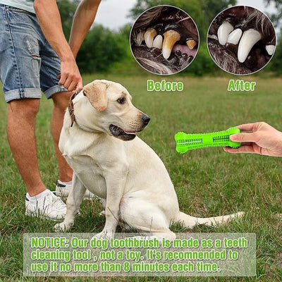 Bone Shape Chew Toys for Dogs