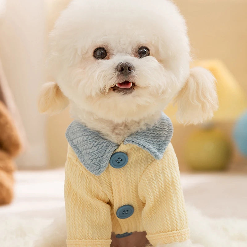 Summer Pet Shirt Fashion Solid Dog Clothes Breathable Puppy Coat Simple Cat Shirt Pet Sweatshirts Chihuahua Outfits Dog Costumes