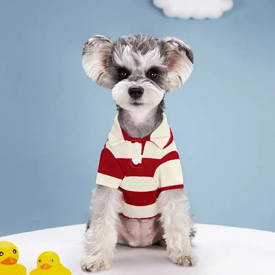 Dog Summer Polo Shirt – Striped Casual Tee for Small & Medium Breeds