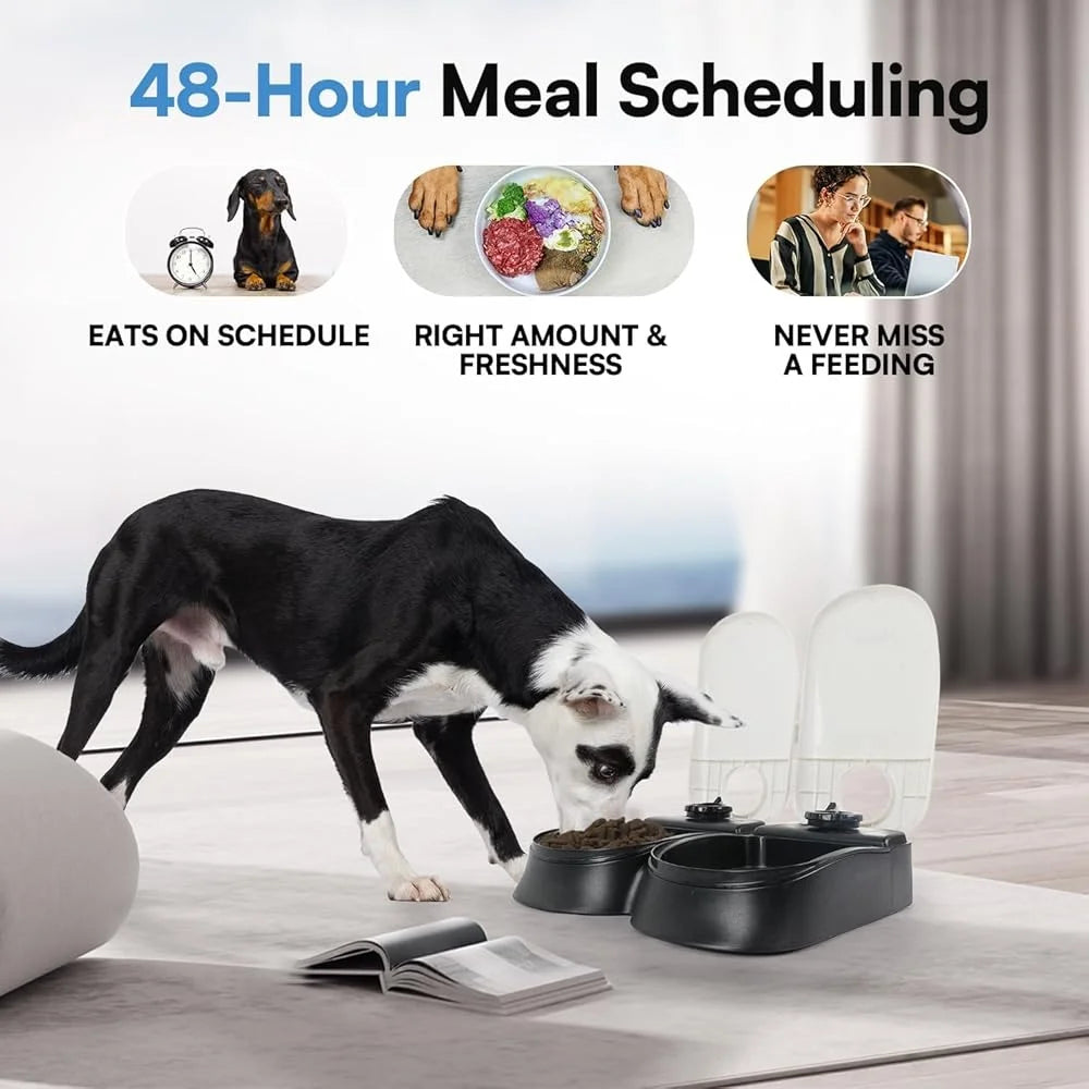 Automatic pet Feeder 2 Meal Food Dispenser