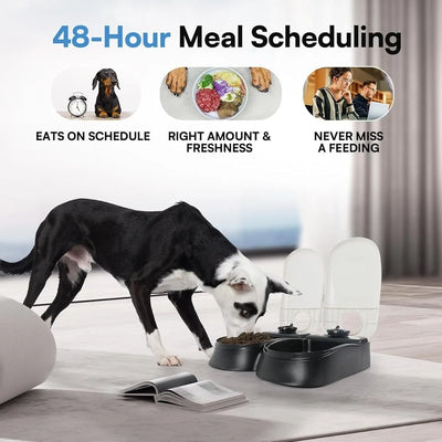 Automatic pet Feeder 2 Meal Food Dispenser
