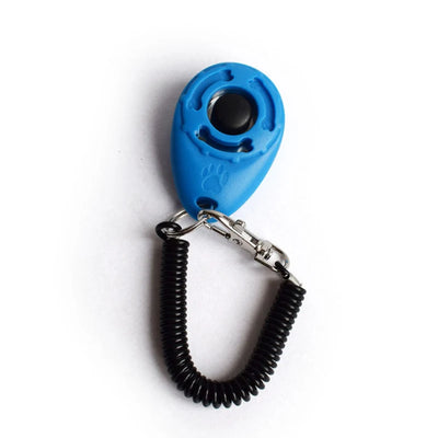 Adjustable Wrist Strap Sound Key Chain