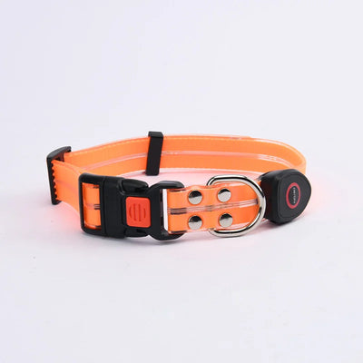Led Light Up Dog Leash Walking Safety