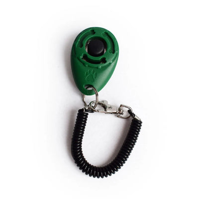 Adjustable Wrist Strap Sound Key Chain
