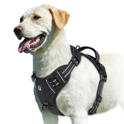 Adjustable Soft Padded Pet Vest