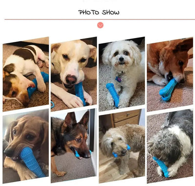 Bone Shape Chew Toys for Dogs