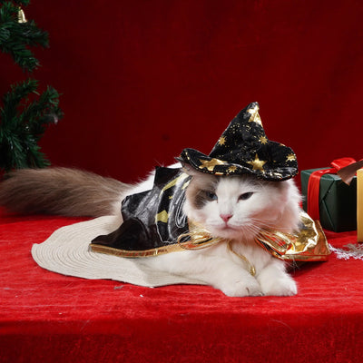 Pet Halloween Costumes Cute Dog Cat Doctor Clothes Halloween Witch Hat Wizard Cape Cosplay Outfit Pet Performance Play Date Suit