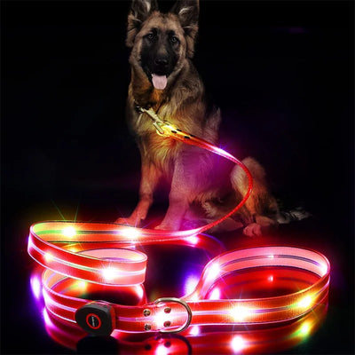 Led Light Up Dog Leash Walking Safety