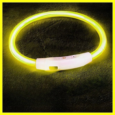 Rechargeable 40/50/70cm Dog Collar