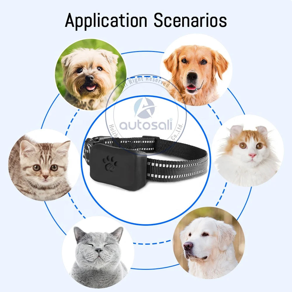 Autosali VP07 4G Dog Tracker