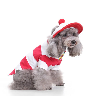 E-Commerce Pet Clothes Christmas Old Man Dog Clothes Halloween Pet Clothes Pumpkin Pet Costume Wizard Clothes