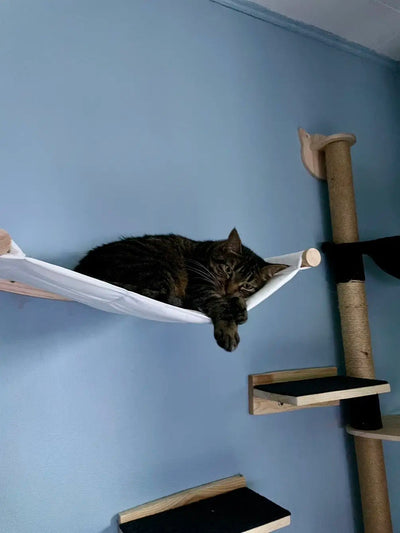 Cat Hammock Cat Tree Wall Mounted Wooden Furniture Scratcher Kitty Beds Perches Stable Cats Wall Shelves For Sleeping Playing thunderthump