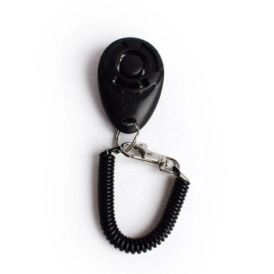 Adjustable Wrist Strap Sound Key Chain