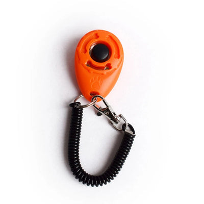 Adjustable Wrist Strap Sound Key Chain