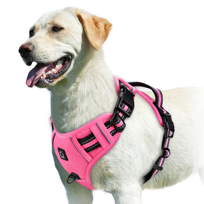 Adjustable Soft Padded Pet Vest