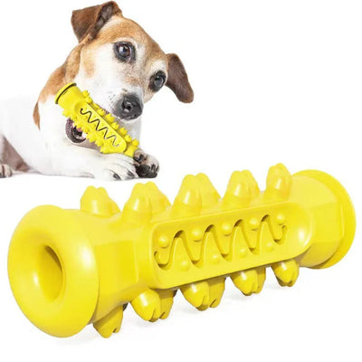 Rubber Dog Molar Toothbrush