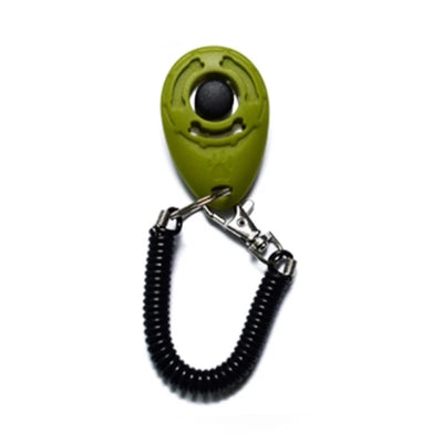 Adjustable Wrist Strap Sound Key Chain