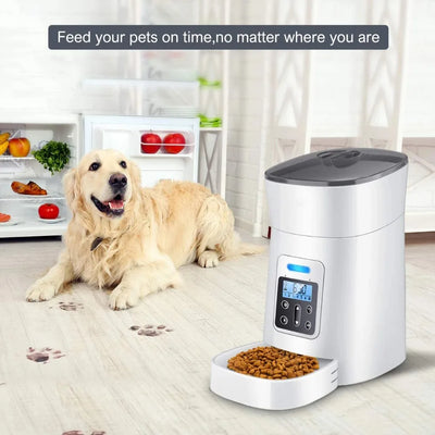 Smart Pet Feeder with Distribution Alarm