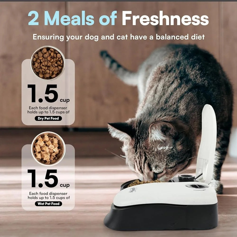 Automatic pet Feeder 2 Meal Food Dispenser