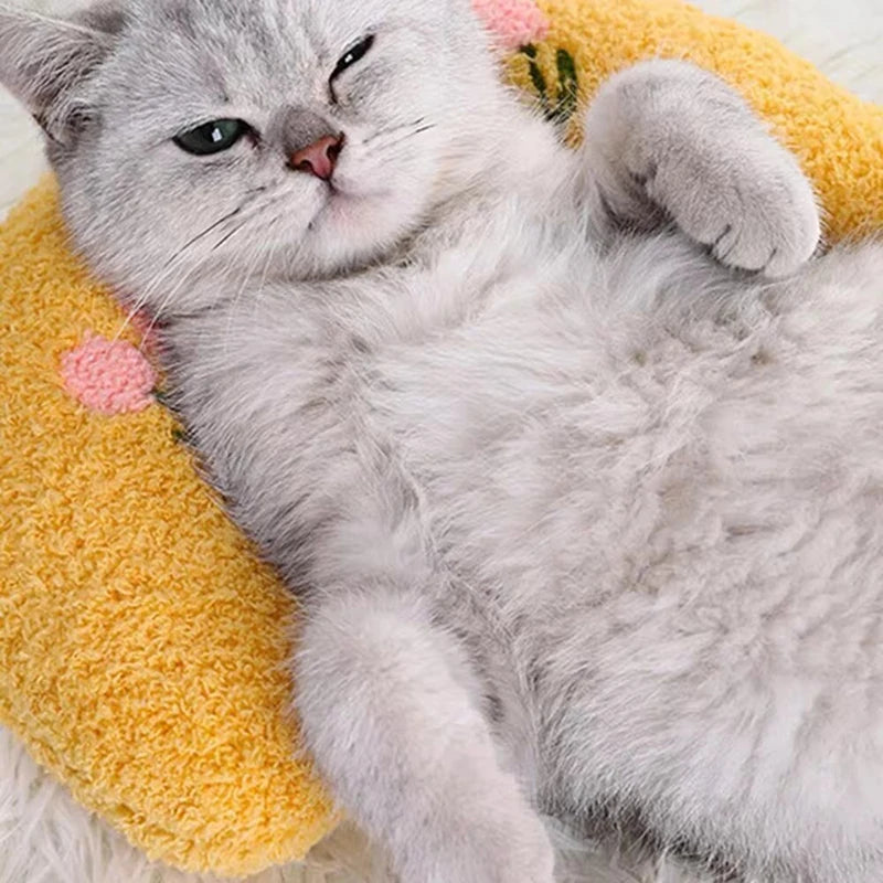 1PC Little Pillow for Cats