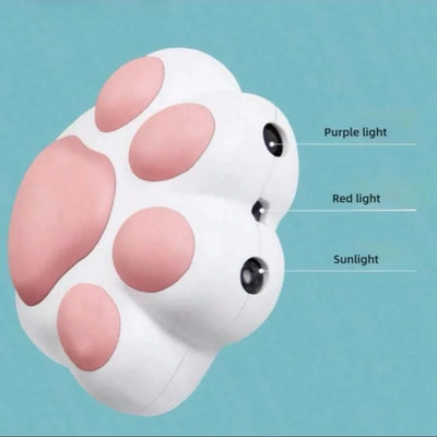 Lovely Cartoon Cat Paw Shaped Laser Keychain Pointer Cat To