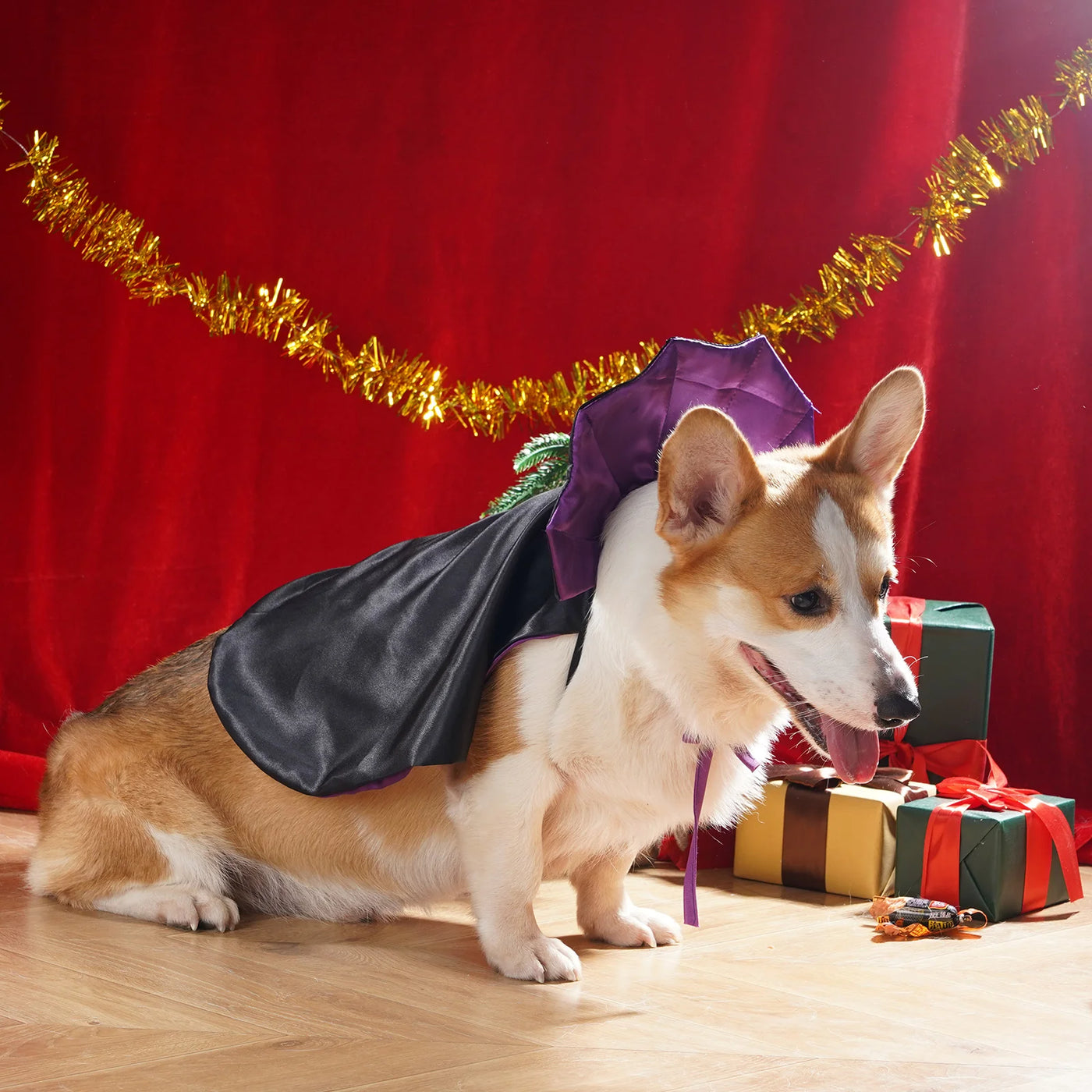 Pets Festivals Dress Up Cute Halloween Vampire Cosplay Costume Bat Wings Cloak for Small Medium Dogs Cats Animals Party Clothing