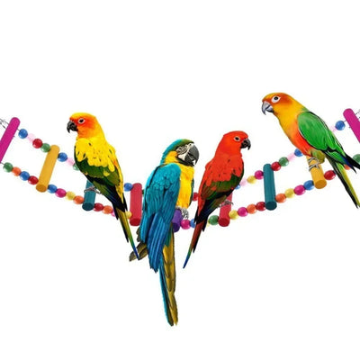 Bird Toys Set Swing Chewing Training Toys