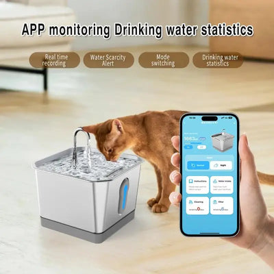 Stainless Steel Water Fountain For Cat