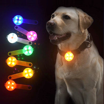 Dog Anti Loss Collars LED Waterproof