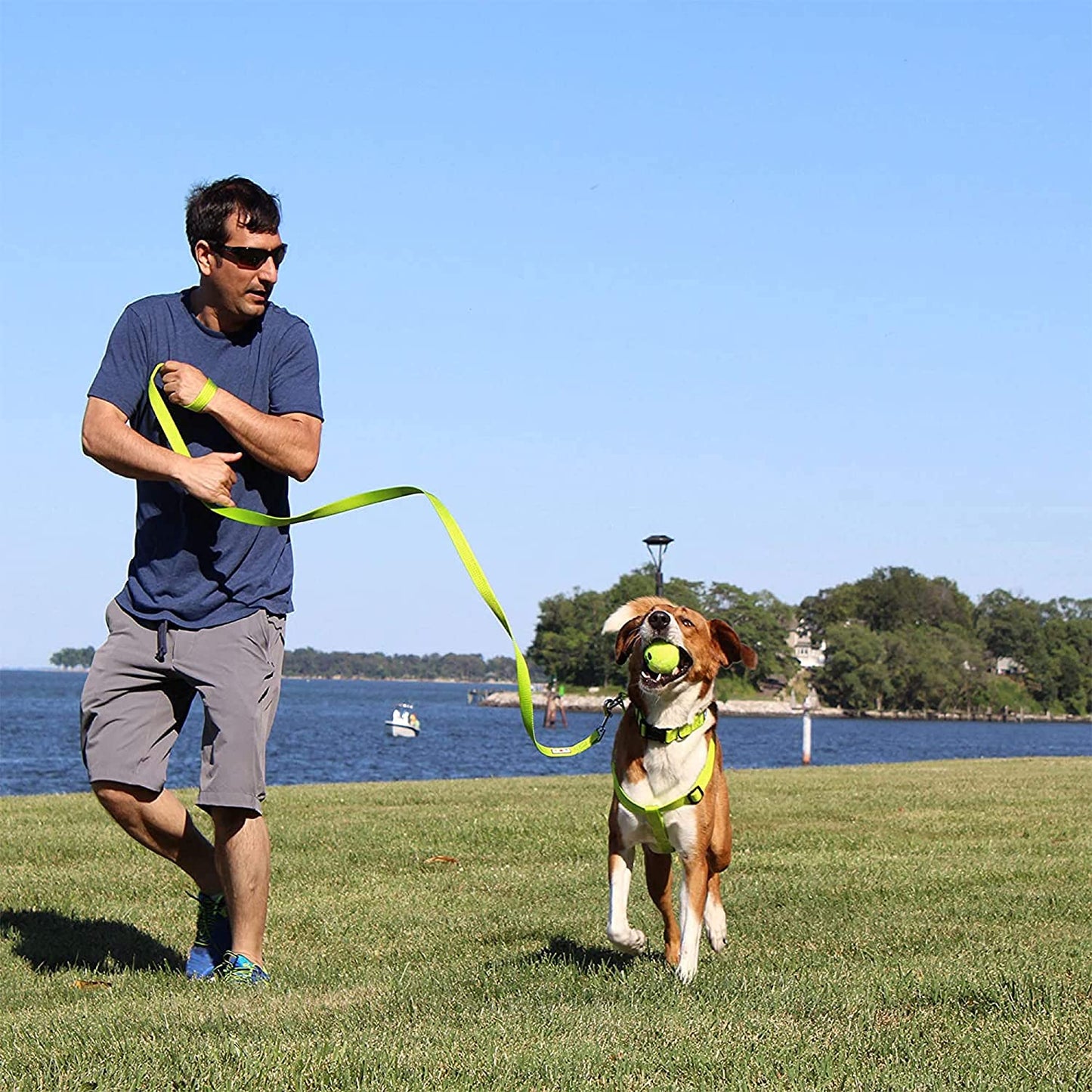 6 FT Solid Color Leash for Puppy - Comfortable Handle Dog Training Leash - 6 Ft - Extra Small/Small - Green