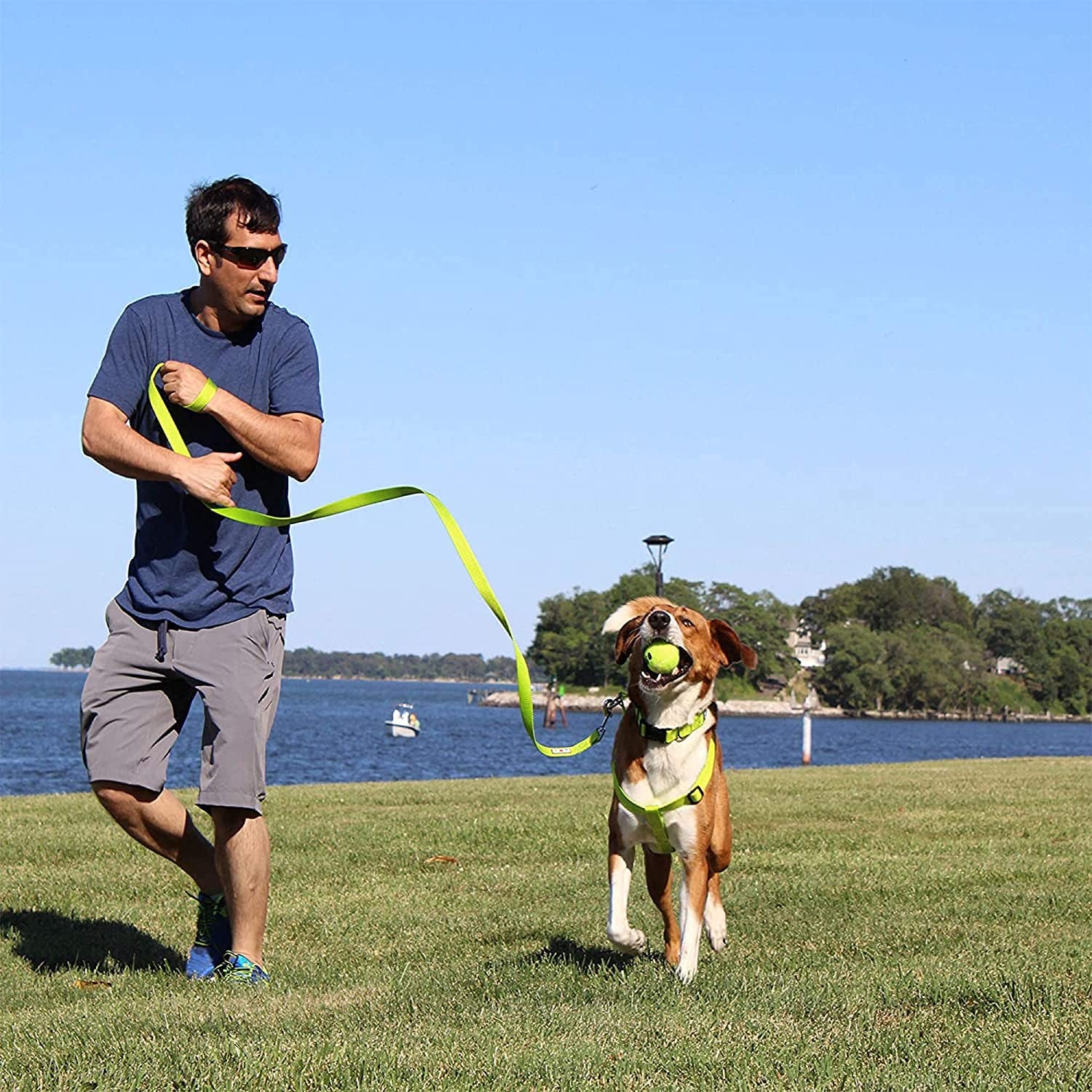 6 FT Solid Color Leash for Puppy - Comfortable Handle Dog Training Leash - 6 Ft - Extra Small/Small - Green