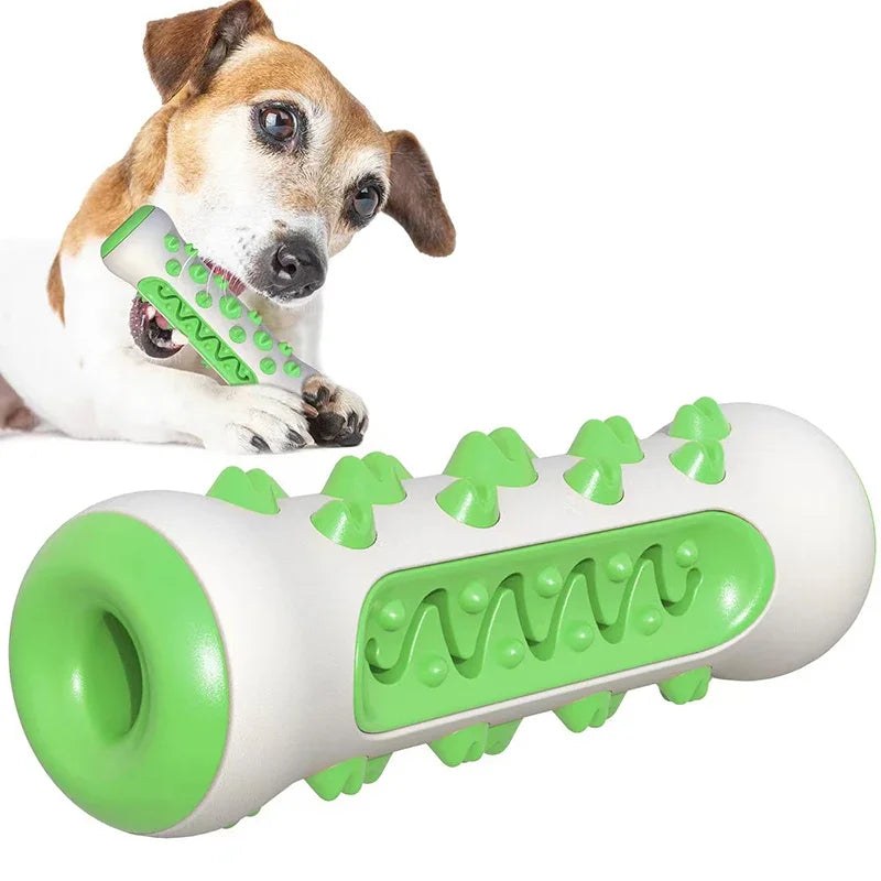 Rubber Dog Molar Toothbrush