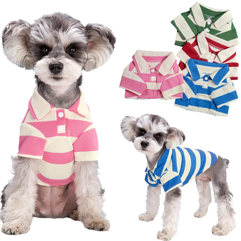 Dog Summer Polo Shirt – Striped Casual Tee for Small & Medium Breeds