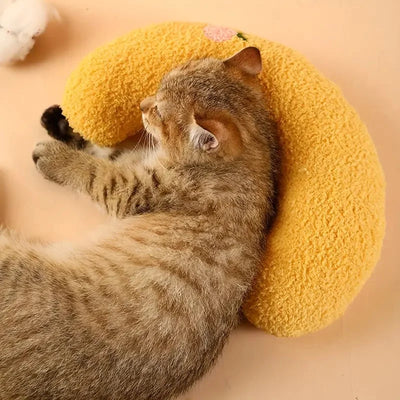 Fair Little Pillow for Cats