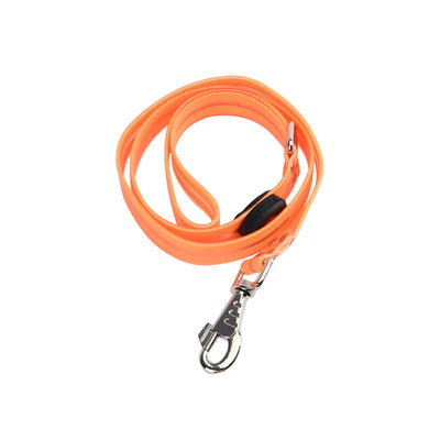 Led Light Up Dog Leash Walking Safety