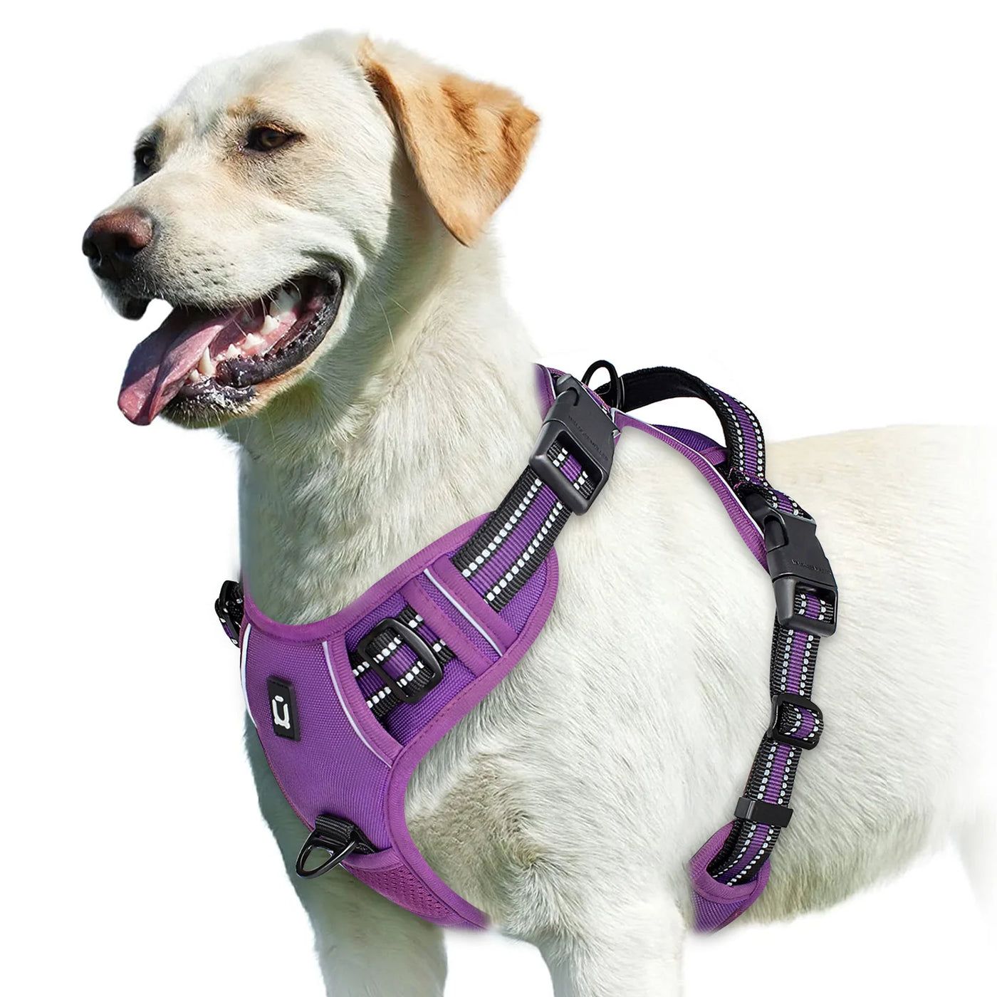Adjustable Soft Padded Pet Vest